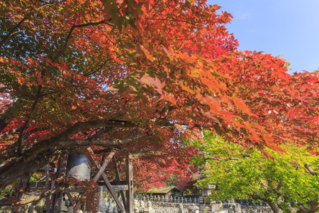 Superb view, fall color at Adashino Nenbutsu-ji, Japan in the autumn around novemberのeditorial素材