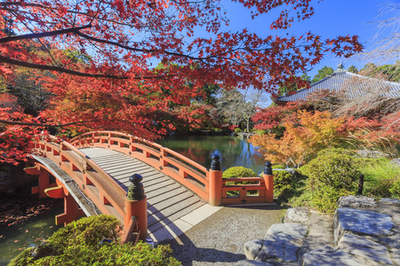 Superb view, fall color at Daigoji temple, Japan in the autumn around novemberのeditorial素材