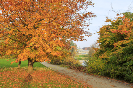 Traveling in the famous Botanical Garden, Copenhagen around Autumn seasonの写真素材