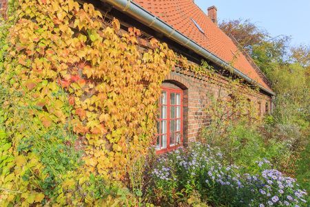 Traveling in the famous Copenhagen around Autumn seasonの写真素材