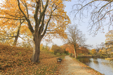 Traveling in the famous Copenhagen around Autumn seasonの写真素材