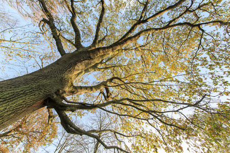 Traveling in the Hotham Park, Bognor Regis, United Kingdom around morningの写真素材