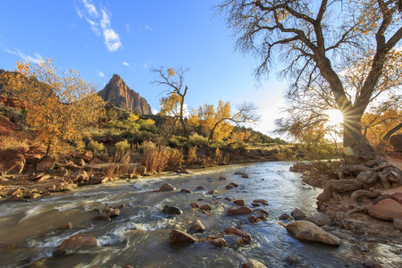 Travelling in the famous Zion National Park at Utahの写真素材