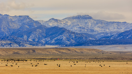 Beautiful country side view near highway 15 with a great mountain view, Utahの写真素材