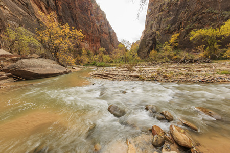 Travelling in the famous Zion National Park at Utahの写真素材
