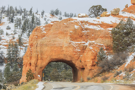 Superb view of Red Canyon at Utahの写真素材