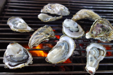 Grilling the delicious seafood - raw oysterの写真素材