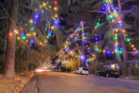 Famous tree lights of Christmas Tree Lane at night, Los Angelesの写真素材