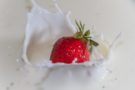Strawberry drop in the milk with splashing on a white milk backgroundの写真素材