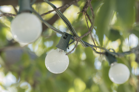 Lightbulbs hanging outdoor with sunshine, Los Angeles, Californiaの写真素材