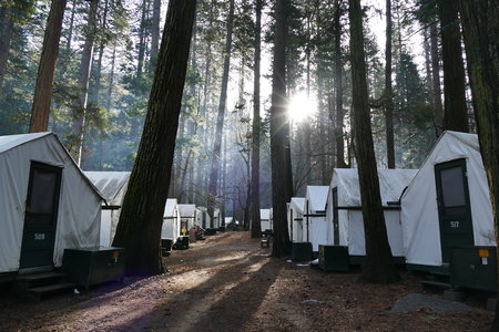 Curry Village in the Famouse Yosemite National Parkのeditorial素材