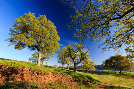 New Melones lake around sunset time, Californiaのeditorial素材