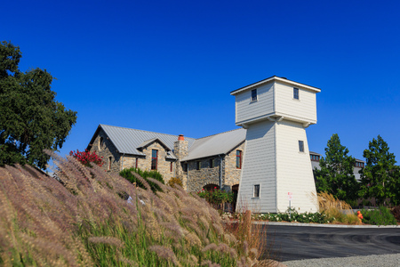 Napa Valley Vineyard at California on a sunny dayのeditorial素材