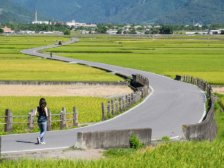 Farm landscape with great curve road at Taitung, Taiwanのeditorial素材