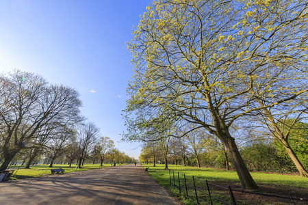 Beautiful landscape around Hyde Park, London, United Kingdomの写真素材