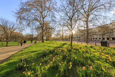 The beautiful St James's Park at Londonのeditorial素材