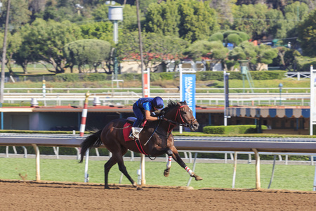 APR 8, Arcadia: Horse racing on APR 8, 2015 at Santa Anita Parkのeditorial素材