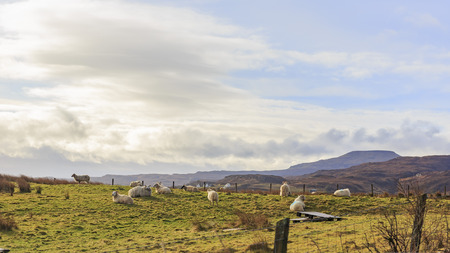Beautiful country side landscape around Boreraigの写真素材