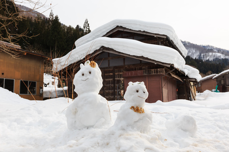 Beautiful landscape around Historic Villages of Shirakawa-go in a snowy dayのeditorial素材