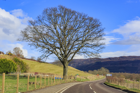 Beautiful country side view with road and tree at Highland, Scotlandの写真素材