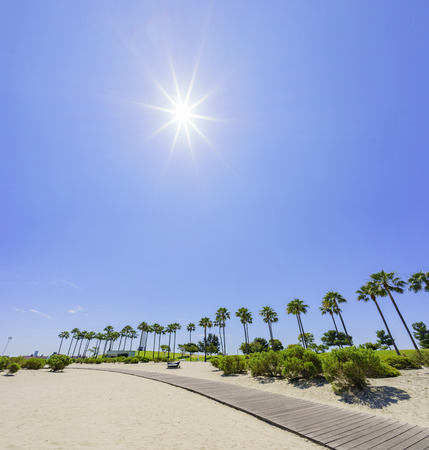 scene around Rainbow Harbor, Long Beach, California, U.S.A.の写真素材