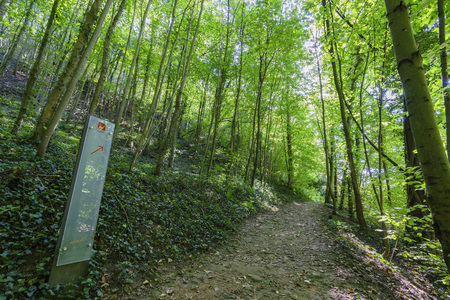 The forest trail towards to the Three Acorns Museum, Luxembourgのeditorial素材
