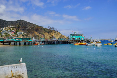 The Catalina Island of Los Angeles Country, Californiaのeditorial素材