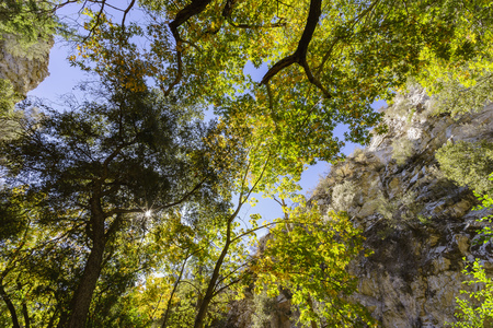 fall color of Switzer Falls Trail, Los Angeles, Californiaの写真素材