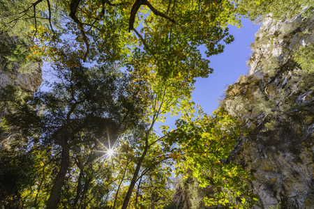 fall color of Switzer Falls Trail, Los Angeles, Californiaの写真素材