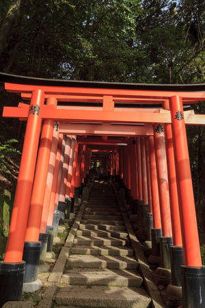 The famous Fushimi Inari-taisha in Fushimi-ku, Kyoto, Japanのeditorial素材