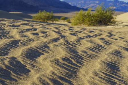 Mesquite Flat Dunes at Stovepipe Wells, Death Valley National Parkの写真素材