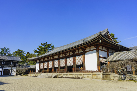 The historical Horyu Ji at Nara, Japanのeditorial素材