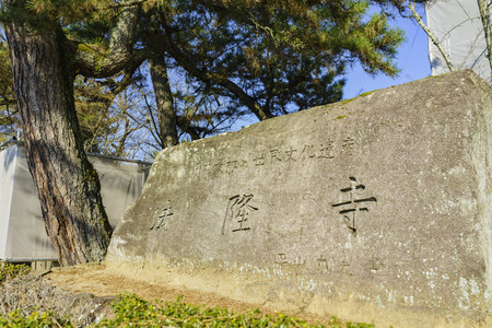 The historical Horyu Ji at Nara, Japanのeditorial素材