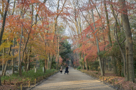 Kyoto, DEC 19: Red maple leaves in the famous Shimogamo Jinja on DEC 19, 2016 at Kyoto, Japanのeditorial素材