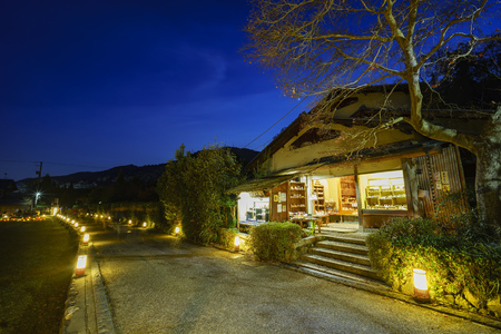 Light up and light festival in Arashiyama area at night, Japanのeditorial素材
