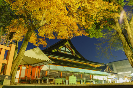 Maple tree and the historical Yasaka Shrine at night, Kyoto, Japanのeditorial素材
