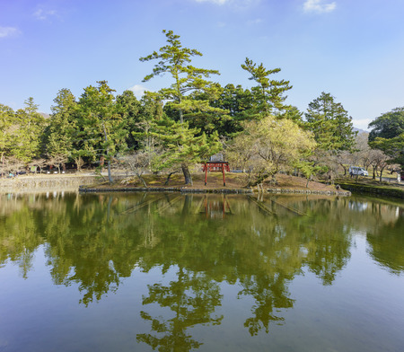 Lake in the famous and historical TodaiJi of Nara Park at Nara, Japanのeditorial素材