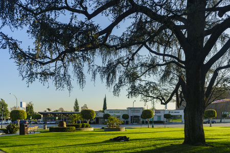 Beautiful Temple City Park with people sleeping at the field in Temple City, California, USAのeditorial素材