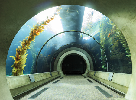 Los Angeles, JAN 29: Aquarium tunnel in California Science Center on JAN 29, 2015 at Los Angelesのeditorial素材