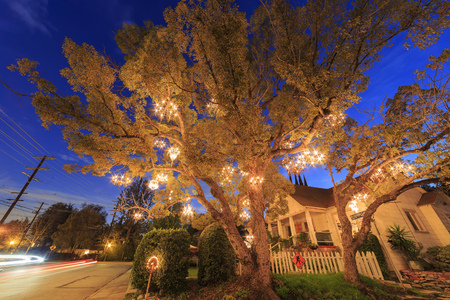 Los Angeles NOV 19: Night view of the special Chandelier Tree on NOV 19, 2014 at Los Angeles, Californiaのeditorial素材