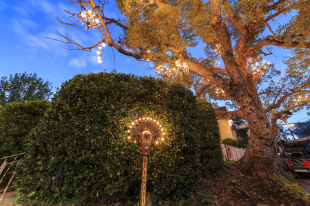 Los Angeles NOV 19: Night view of the special Chandelier Tree on NOV 19, 2014 at Los Angeles, Californiaのeditorial素材