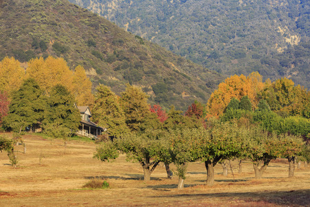 fall color over Oak Glen area, Los Angeles County, Californiaのeditorial素材