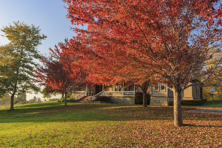 fall color over Oak Glen area, Los Angeles County, Californiaのeditorial素材