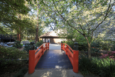 Japanese garden at Descanso Garden, Los Angeles, Californiaのeditorial素材