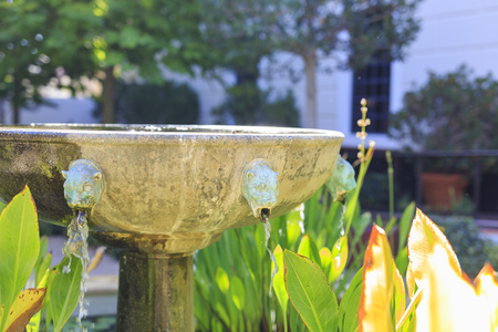Close up shot of an old fountain with statueの写真素材