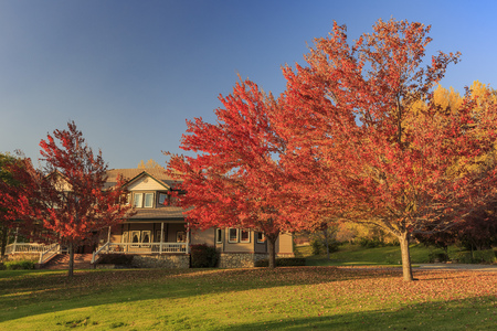 fall color over Oak Glen area, Los Angeles County, Californiaのeditorial素材