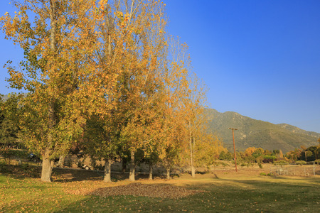 fall color over Oak Glen area, Los Angeles County, Californiaの写真素材