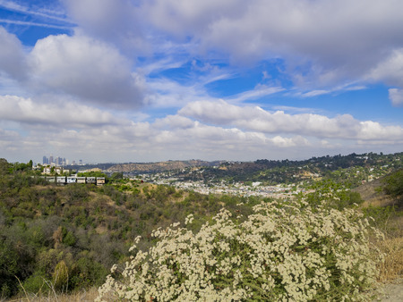 Los Angeles downtown skyline from Ernest E. Debs Regional Parkの写真素材