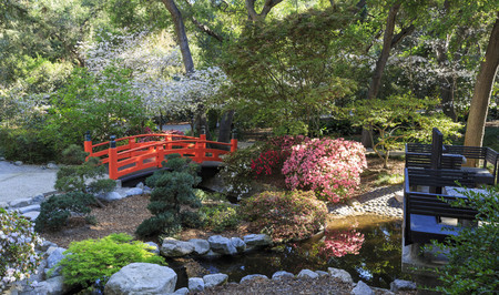 Japanese garden at Descanso Garden, Los Angeles, Californiaのeditorial素材