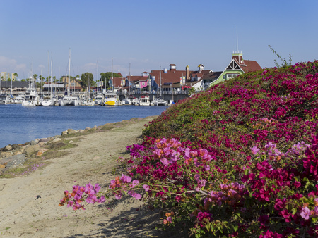 scene around Rainbow Harbor, Long Beach, California, U.S.A.のeditorial素材